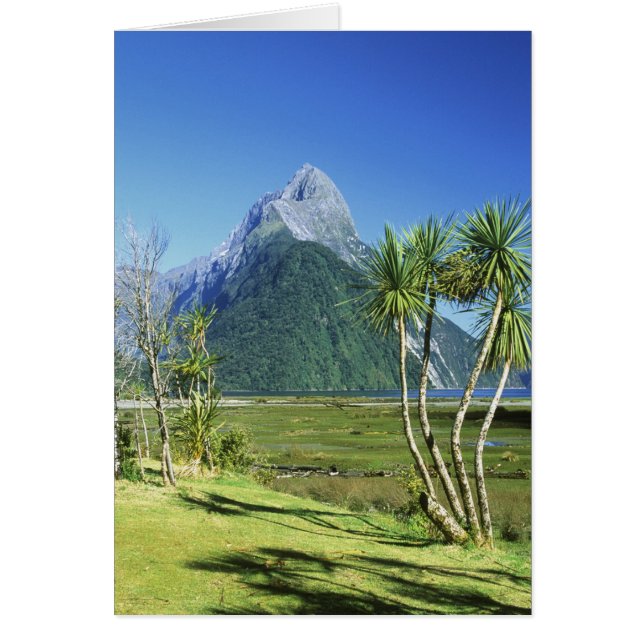 Neuseeland, Südinsel, Miter Peak, (Vorne)