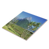 Neuseeland, Südinsel, Miter Peak, Fliese (Seite)