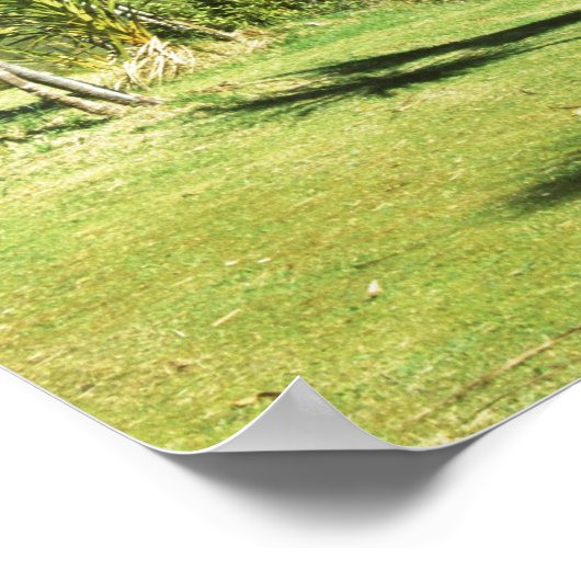 Neuseeland, Südinsel, Miter Peak, Poster (Ecke)