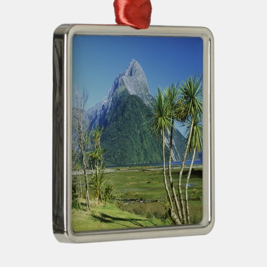 Neuseeland, Südinsel, Miter Peak, Silbernes Ornament (Rechts)