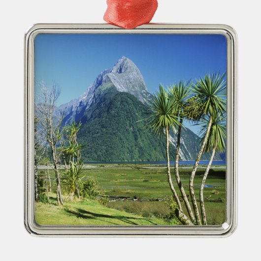 Neuseeland, Südinsel, Miter Peak, Silbernes Ornament (Vorne)