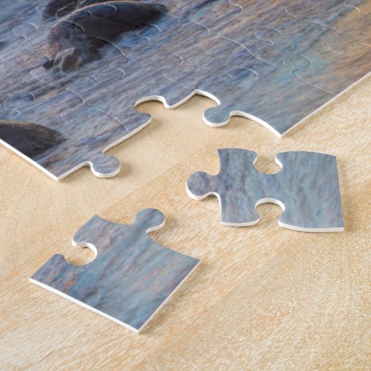 Neuseeland, Südinsel, Moeraki Boulders Puzzle (Seite)