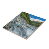 Neuseeland, Südinsel, Moto Aspiring National Fliese (Seite)