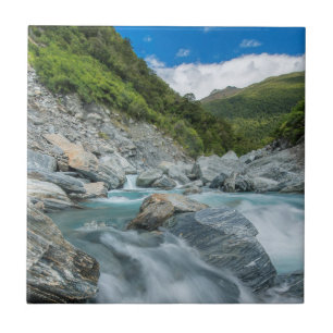 Neuseeland, Südinsel, Mt. Aspiring National Fliese