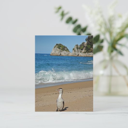 Neuseeland Südinsel Postkarte (Stehend Vorderseite)