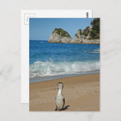 Neuseeland Südinsel Postkarte (Vorne/Hinten)