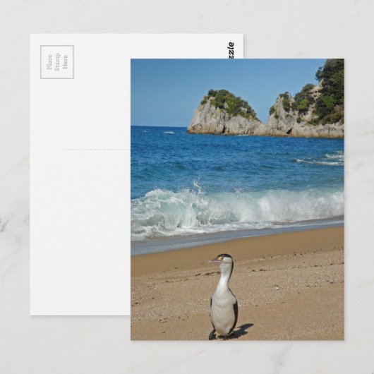 Neuseeland Südinsel Postkarte (Vorne/Hinten)