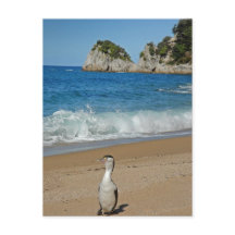 Neuseeland Südinsel