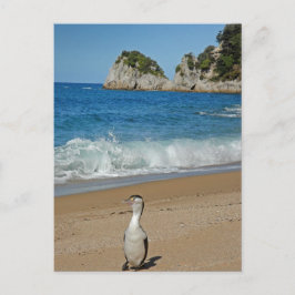 Neuseeland Südinsel Postkarte