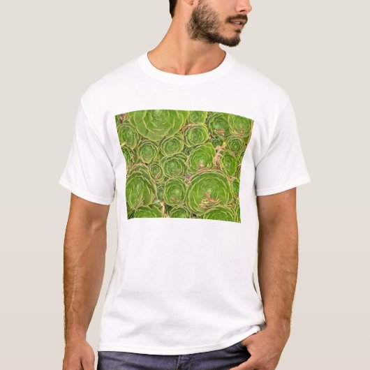 Neuseeland, Südinsel. Sukkulent. T-Shirt (Vorderseite)