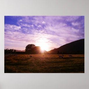 Neuseeland Sunrise Poster