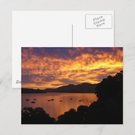 Neuseeland Sunset Postkarte (Vorne/Hinten)
