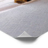 Neuseeland Tairua Beach Waves Poster (Ecke)