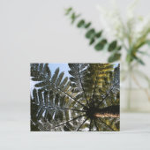 Neuseeland Tree Fern Postkarte (Stehend Vorderseite)