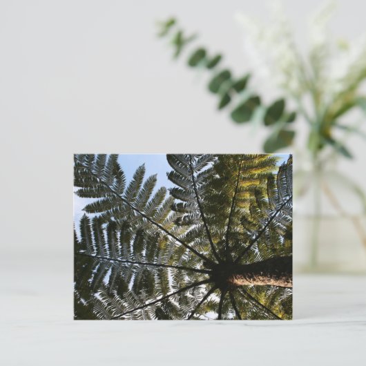 Neuseeland Tree Fern Postkarte (Stehend Vorderseite)