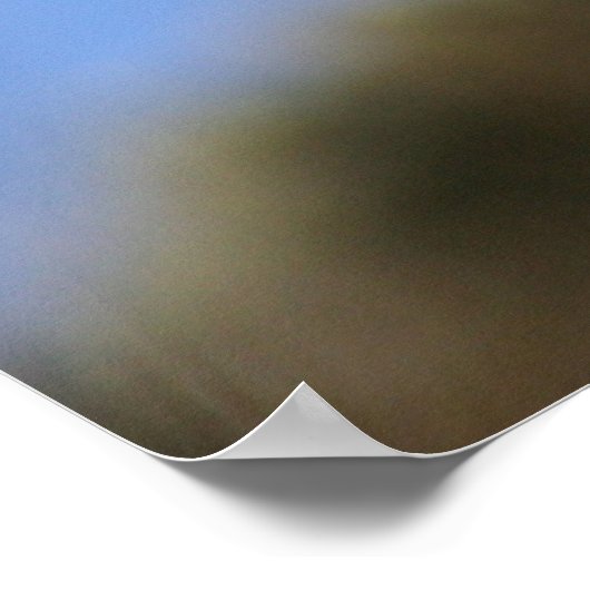 Neuseeland Tui Poster (Ecke)