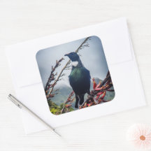 Neuseeland-Tui-Vogel-Aufkleber