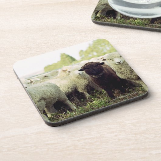 Neuseeland Untersetzer (Linke Seite)