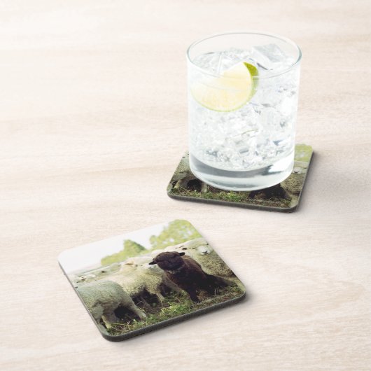 Neuseeland Untersetzer (Rechte Seite)