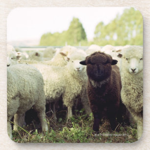 Neuseeland Untersetzer