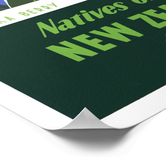 Neuseeland Vintage Travel Poster neu (Ecke)