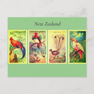 Neuseeland Vögel Vintage Leierschwanz Kammhühner Feiertagspostkarte