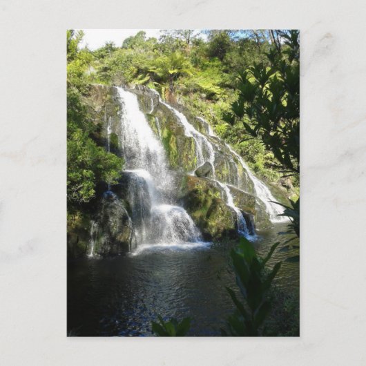 Neuseeland von der Natur Postkarte (Vorderseite)