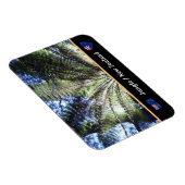 Neuseeland, Wald von Fernbaum / Dschungelwandern Magnet (Rechte Seite)