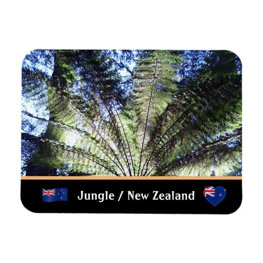 Neuseeland, Wald von Fernbaum / Dschungelwandern Magnet (Horizontal)