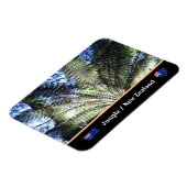 Neuseeland, Wald von Fernbaum / Dschungelwandern Magnet (Linke Seite)