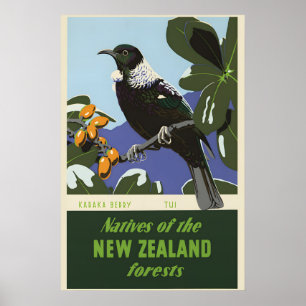 Neuseeland Waldvogel Karaka-Beere 1950er Jahre Vin Poster