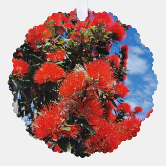 Neuseeland - Weihnachtsbaum Ornament Karte (Vorderseite)