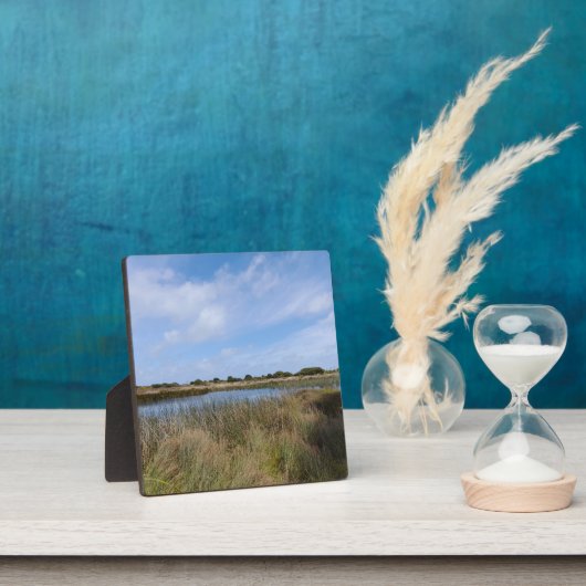 Neuseeland Westküste Auckland Whatipu Höhlenweg Fotoplatte (InSitu)