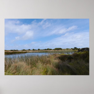 Neuseeland Westküste Auckland Whatipu Höhlenweg Poster