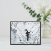 Neuseeland, Westküste, Glacier Walker Postkarte (Stehend Vorderseite)