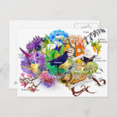 Neuseeländische Collage Postkarte (Vorne/Hinten)