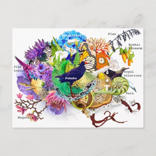 Neuseeländische Collage Postkarte (Vorderseite)