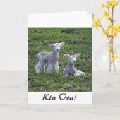 Neuseeländische Lämmer Karte (Gelbe Blume)