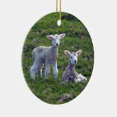 Neuseeländische Lämmer Keramik Ornament (Rechts)