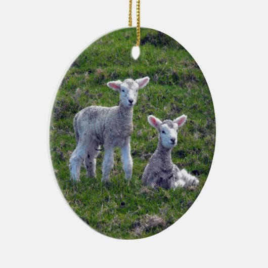 Neuseeländische Lämmer Keramik Ornament (Rechts)