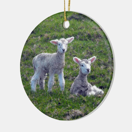 Neuseeländische Lämmer Keramik Ornament (Links)