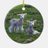 Neuseeländische Lämmer Keramik Ornament (Hinten)