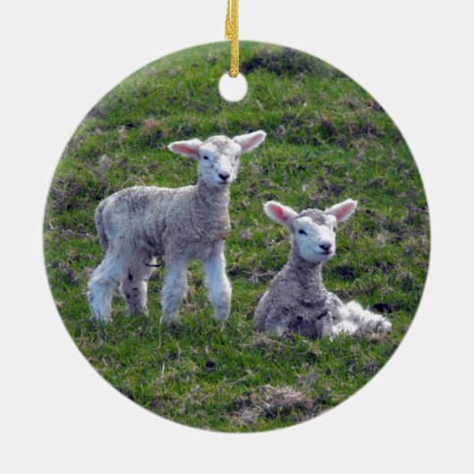 Neuseeländische Lämmer Keramik Ornament (Hinten)