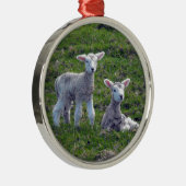 Neuseeländische Lämmer Silbernes Ornament (Rechts)