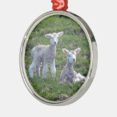 Neuseeländische Lämmer Silbernes Ornament (Links)