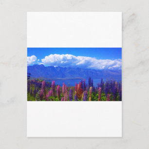 Neuseeländische Lupine über dem Lake Wakatipu Postkarte