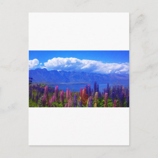 Neuseeländische Lupine über dem Lake Wakatipu Postkarte (Vorderseite)