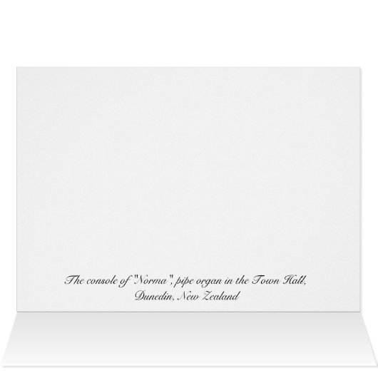 Neuseeländische Pfeifenkonsole (Innenansicht Horizontal (Oben))