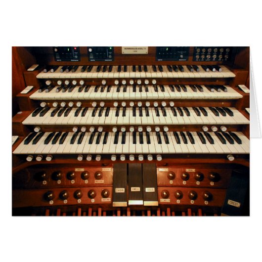 Neuseeländische Pfeifenkonsole (Vorderseite (Horizontal))