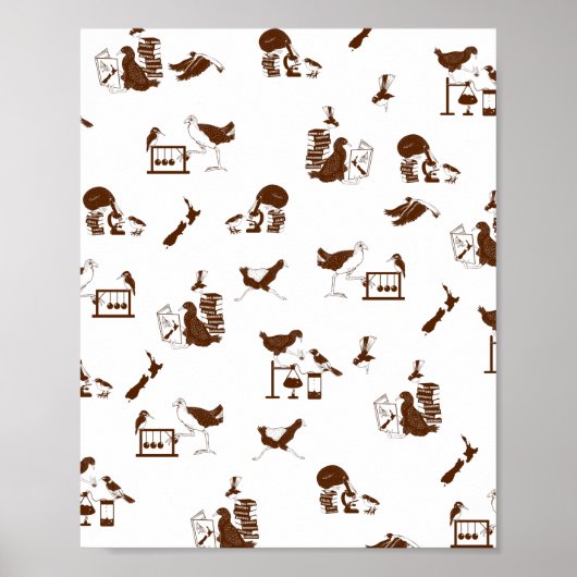 Neuseeländische Vogelwissenschaftler Poster (Vorne)